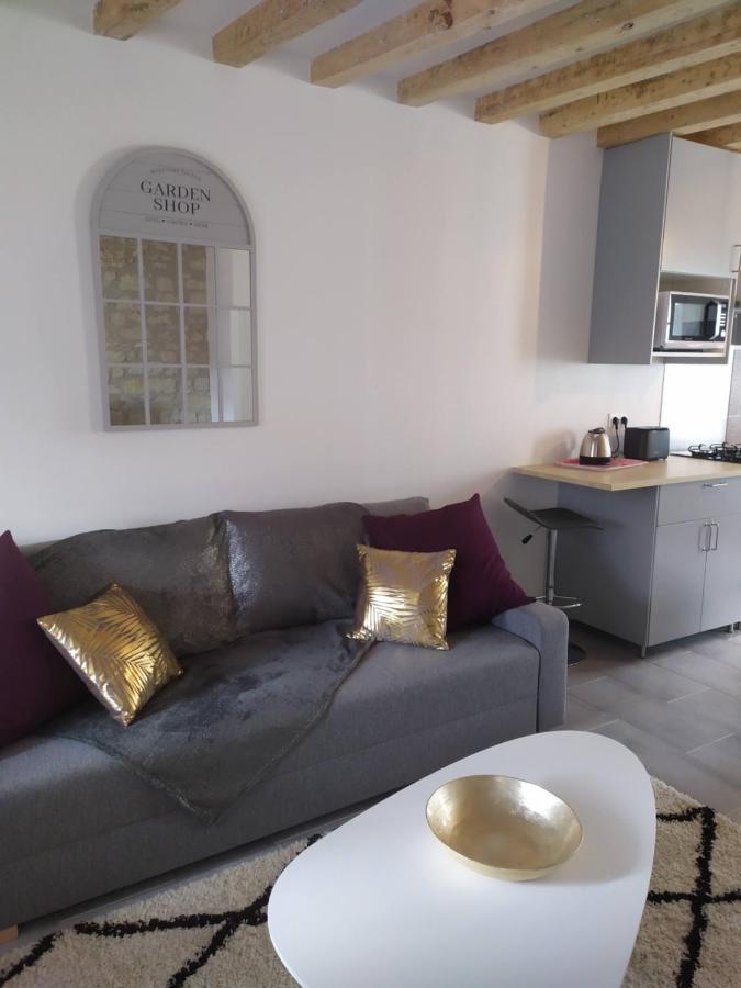 Nouveau gîte Casa Louka, proche Beauval Saint-Aignan  Exterior foto